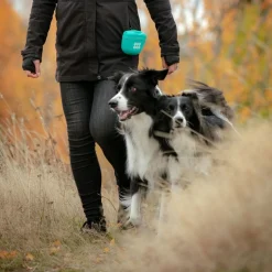 Pro Dog Makupalapussit*Silikoninen makupalapussi , turkoosi