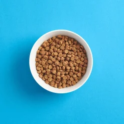 Smaak Kissanpennun Ruoka|Kissanpennun Ruoka*kissanpennun ruoka