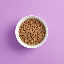 Smaak Kissan Kuivaruoka|Kotimainen Kissanruoka*steriloidun kissan ruoka