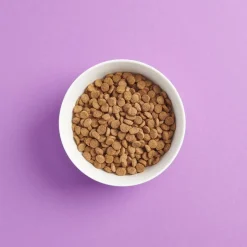 Smaak Kissan Kuivaruoka|Kotimainen Kissanruoka*steriloidun kissan ruoka