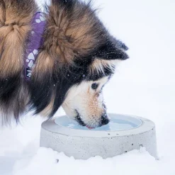 Sulavesi Koiranpennun Ruokailu|Koiran Ruoka- Ja Juomakupit*-lämmitetty koiran vesikuppi