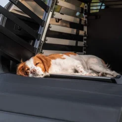 Thule Häkit|Autorampit, Koiraveräjät Ja Autonsuojat*matto koirahäkkiin