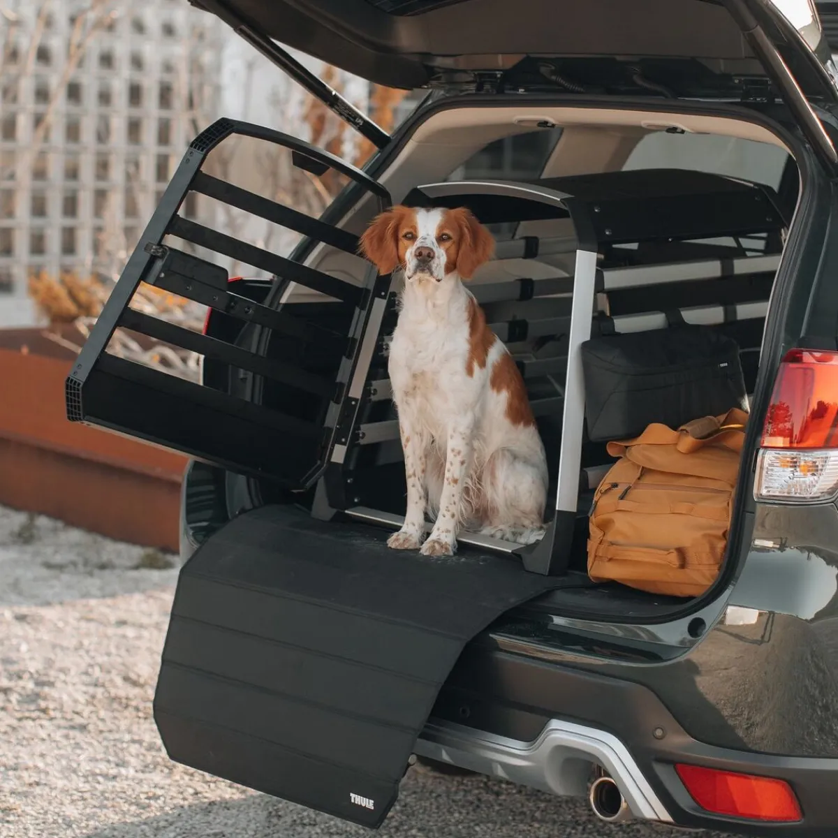 Thule Häkit|Autorampit, Koiraveräjät Ja Autonsuojat*-tarvikelaukku autoon