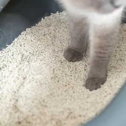Trixie Paakkuuntuva Kissanhiekka|Hajustamaton Kissanhiekka*Tofu kissanhiekka paakkuuntuva