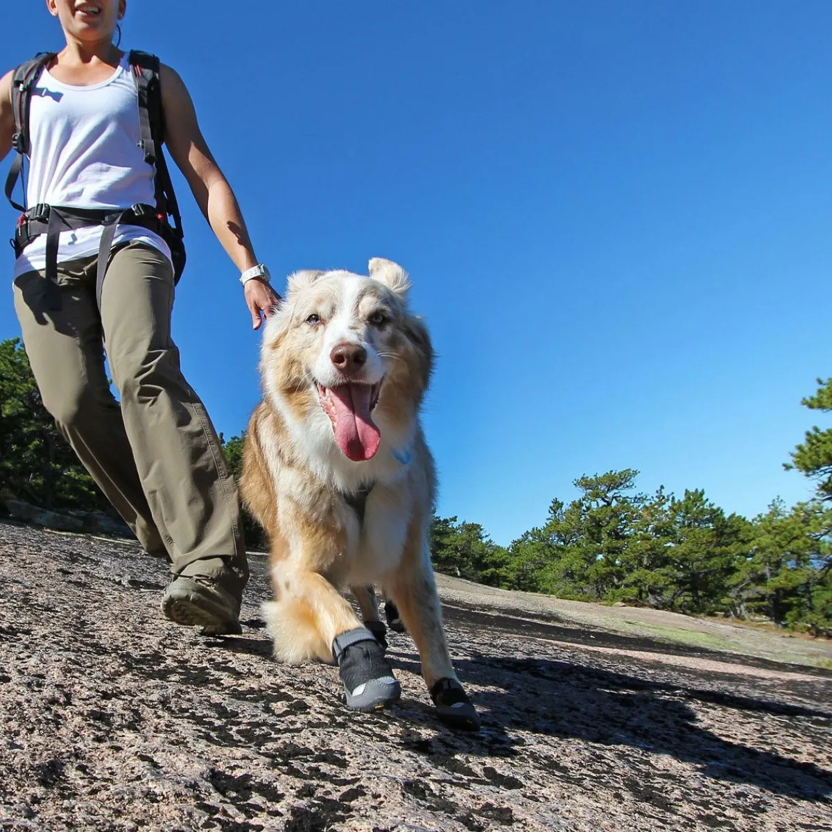 RuffWear Koiran Vaatteet|Koiran Tossut*Tossut Grip Trex, musta