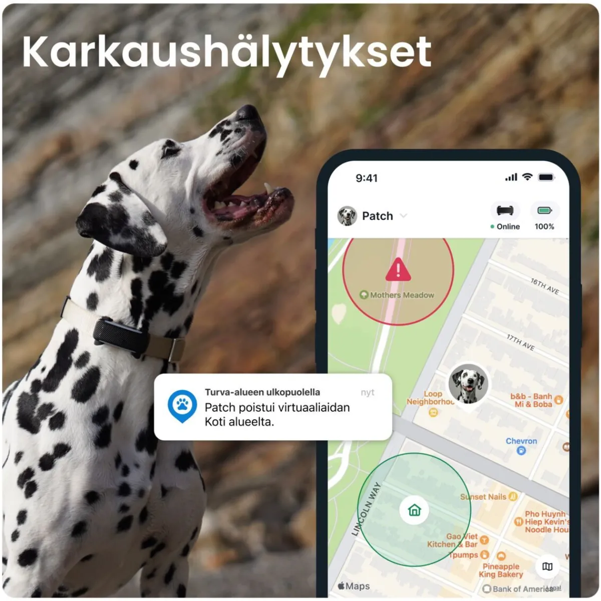 Tractive Retkeily Koiran Kanssa|Retkeily*GPS koiralle DOG 6, musta