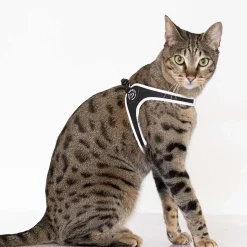 TrePonti Koiran Valjaat*Tre Ponti Easy Fit valjaat, musta