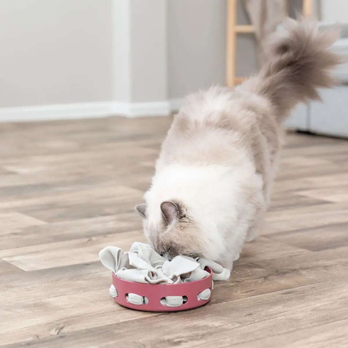 Trixie Kissan Pelit Ja Aktivointilelut*Cat Activity Hide'n'Sniff Bowl