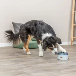 Trixie Koiran Aktivointilelut Ja -Pelit*Dog Activity Buzzer