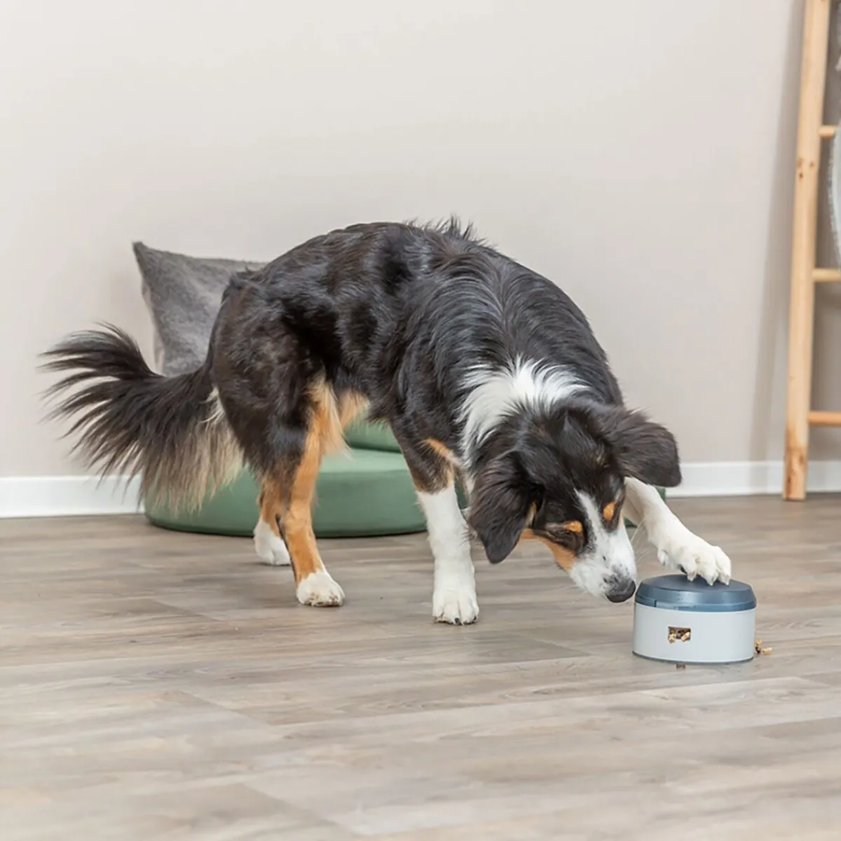 Trixie Koiran Aktivointilelut Ja -Pelit*Dog Activity Buzzer