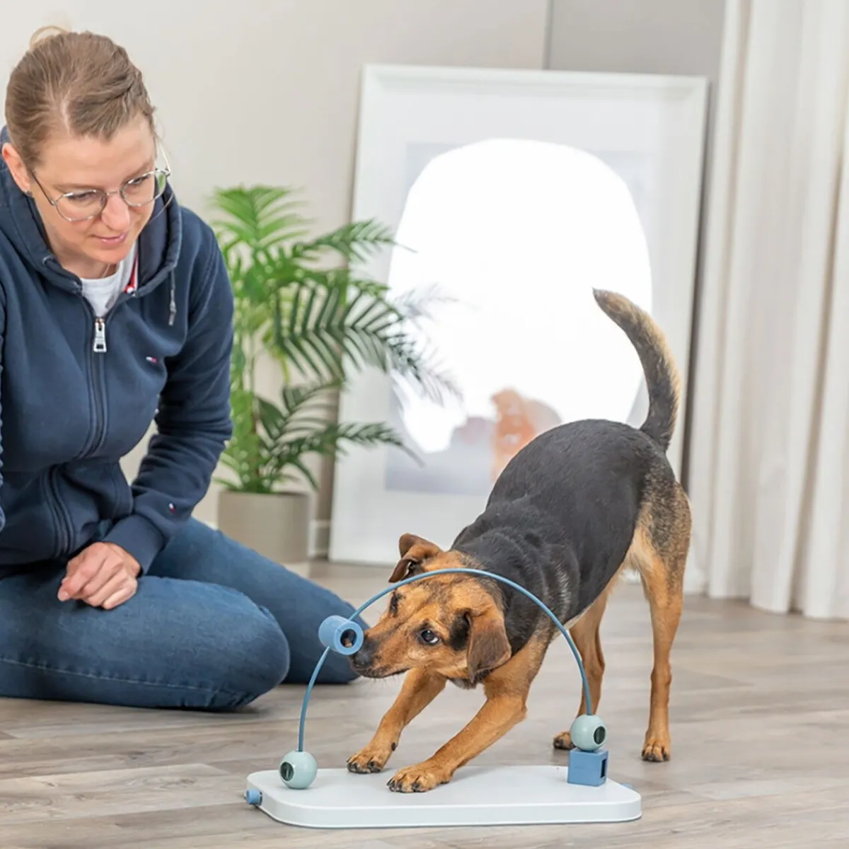 Trixie Koiran Aktivointilelut Ja -Pelit*Dog Activity Skills Loop