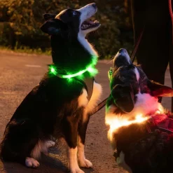 Trixie Koiran Heijastimet Ja Valot|Koiran Valot*USB-ladattava valopanta, silikoni