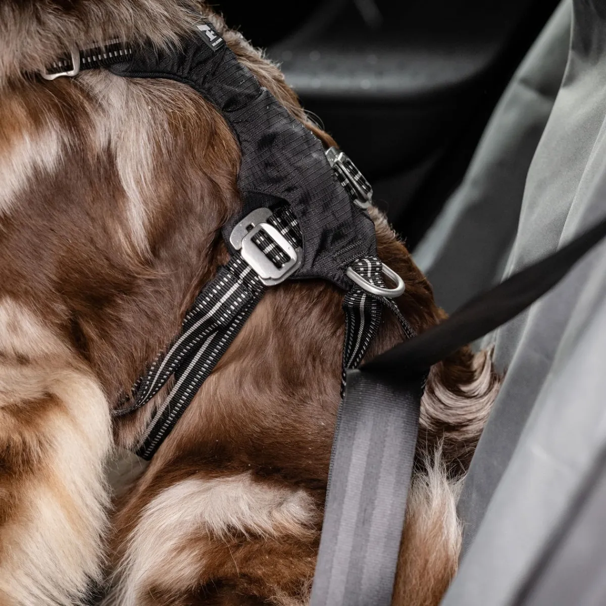 Feel Active Häkit|Turvavyöt, -Valjaat Ja Autoistuimet*Turvavyövaljas musta