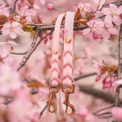 Tyylivoitto Koiran Hihnat Ja Flexit*Braid talutin, baby pink/ruusukulta
