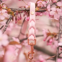 Tyylivoitto Koiran Hihnat Ja Flexit*Braid talutin, baby pink/ruusukulta