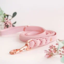 Tyylivoitto Koiran Hihnat Ja Flexit*Braid talutin, baby pink/ruusukulta