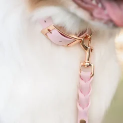 Tyylivoitto Koiran Hihnat Ja Flexit*Braid talutin, baby pink/ruusukulta