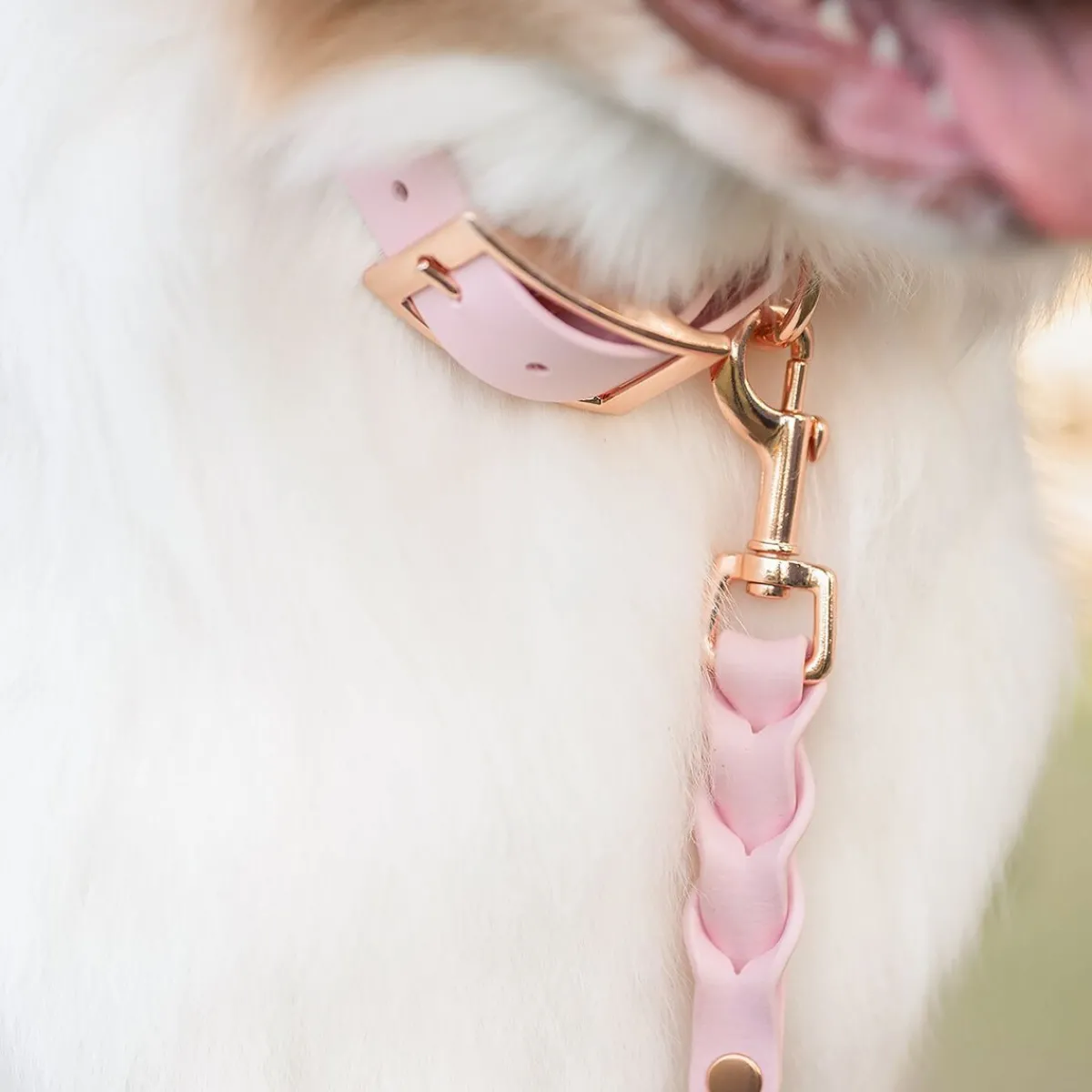 Tyylivoitto Koiran Hihnat Ja Flexit*Braid talutin, baby pink/ruusukulta