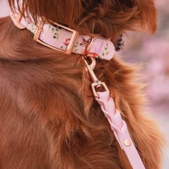 Tyylivoitto Koiran Hihnat Ja Flexit*Braid talutin, baby pink/ruusukulta