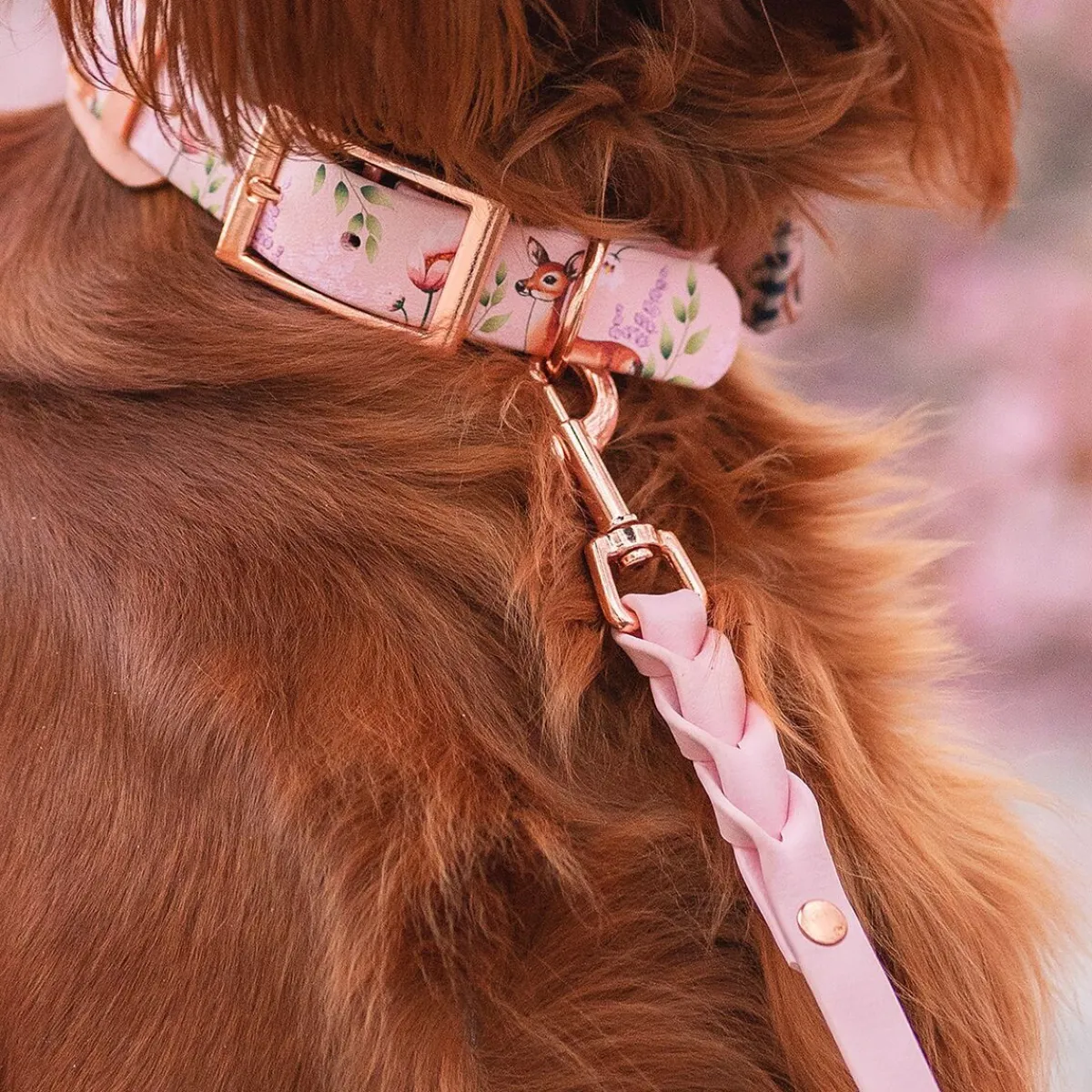 Tyylivoitto Koiran Hihnat Ja Flexit*Braid talutin, baby pink/ruusukulta