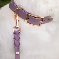 Tyylivoitto Koiran Pannat*Classy panta, mauve/ruusukulta