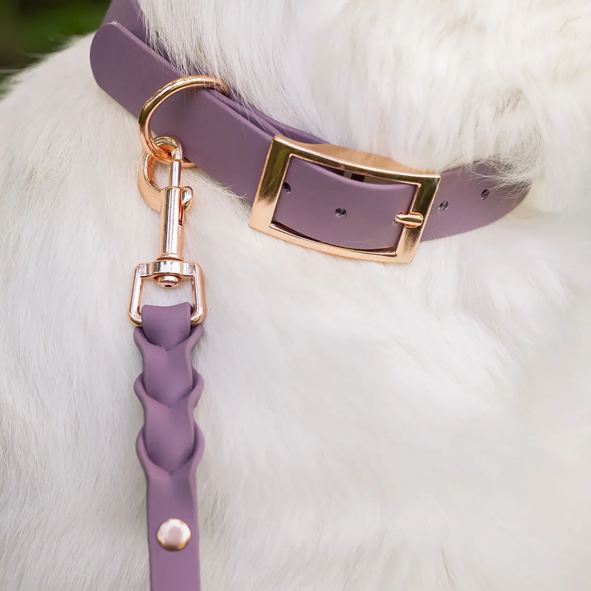 Tyylivoitto Koiran Pannat*Classy panta, mauve/ruusukulta