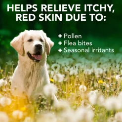 Vet's Best Koiran Iho-Ongelmat Ja Hot Spot|Iho-Ongelmat Ja Hot Spot*Allergy itch Shampoo 500 ml