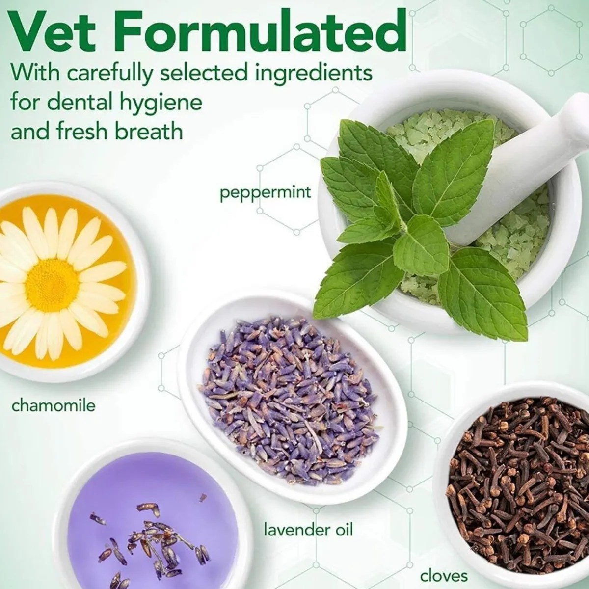 Vet's Best Hoito Ja Terveys|Hampaidenhoitotuotteet*Puppy Dental Care Kit