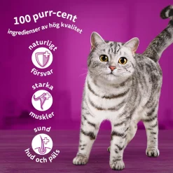 Whiskas Kissan Märkäruoka*Classic meals in jelly 60x85g