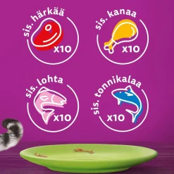 Whiskas Kissan Märkäruoka*1+ jelly 40x85 g