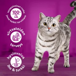 Whiskas Kissan Märkäruoka*kanaa kastikkeessa 400g