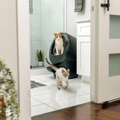 Whisker Automaattiset Kissanvessat|Lemmikkiteknologia*Litter-Robot 4, musta