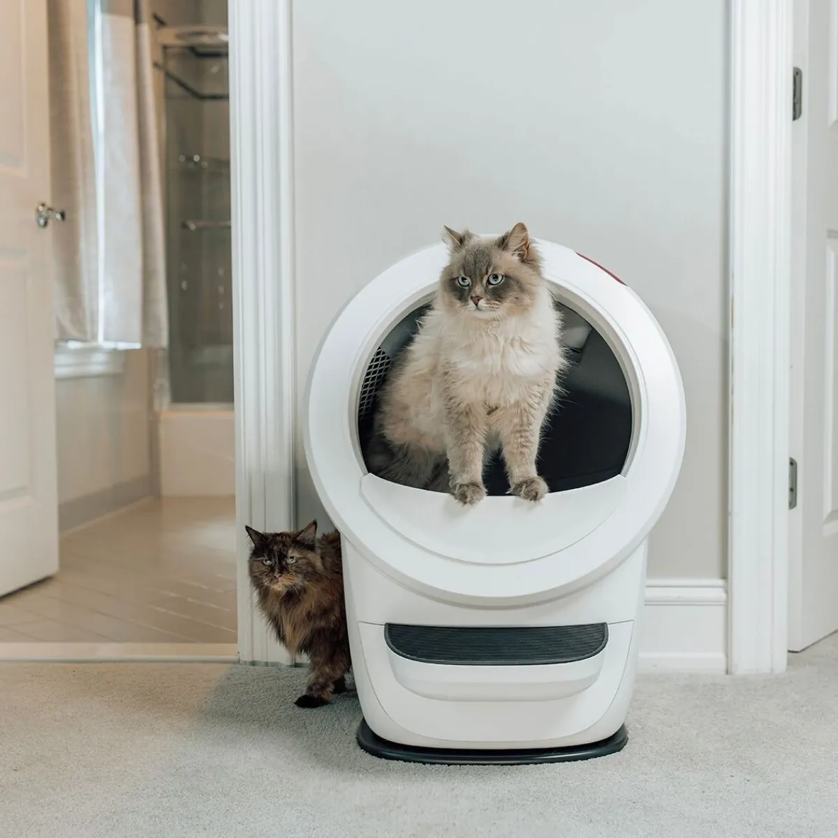 Whisker Automaattiset Kissanvessat|Lemmikkiteknologia*Litter-Robot 4, valkoinen