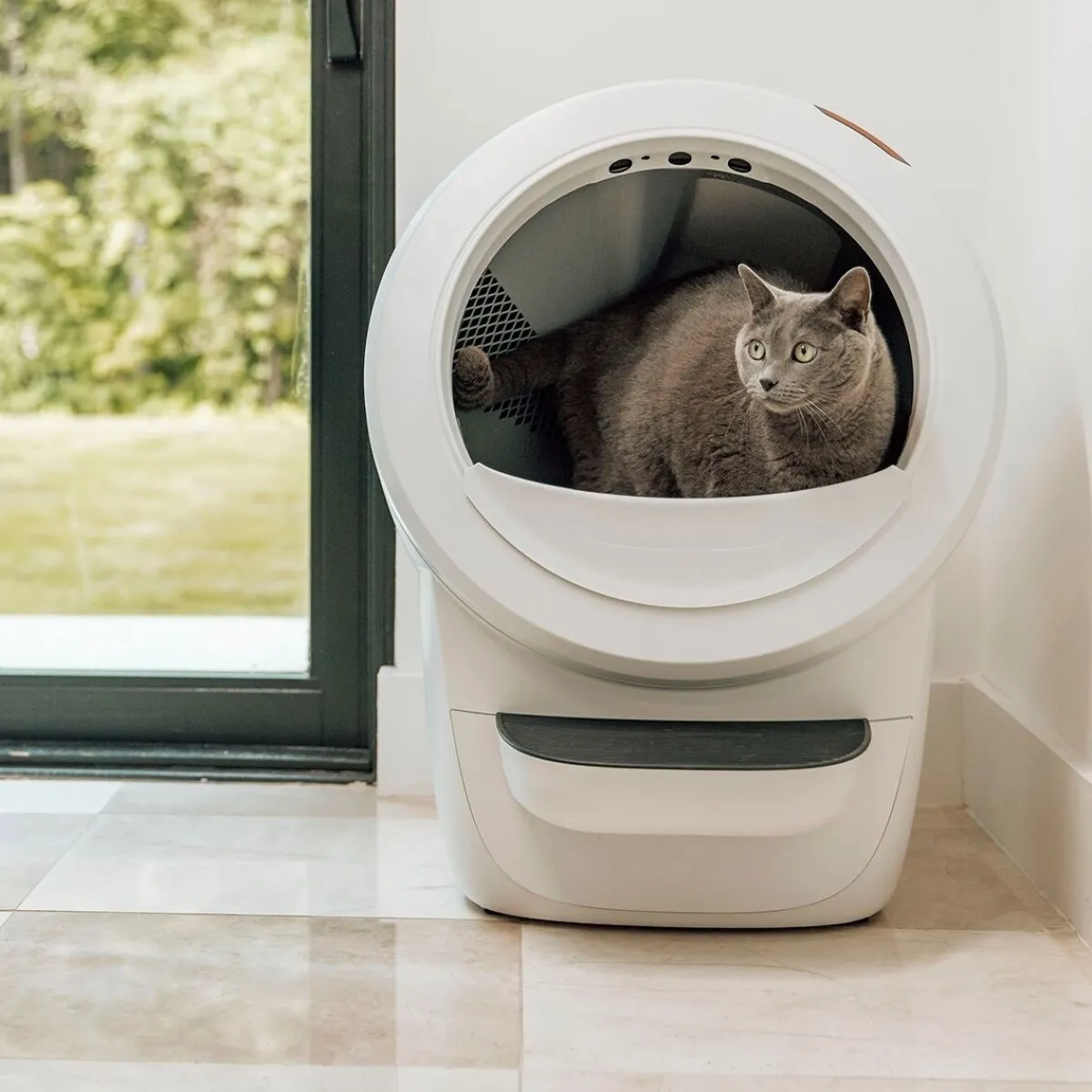 Whisker Automaattiset Kissanvessat|Lemmikkiteknologia*Litter-Robot 4, valkoinen