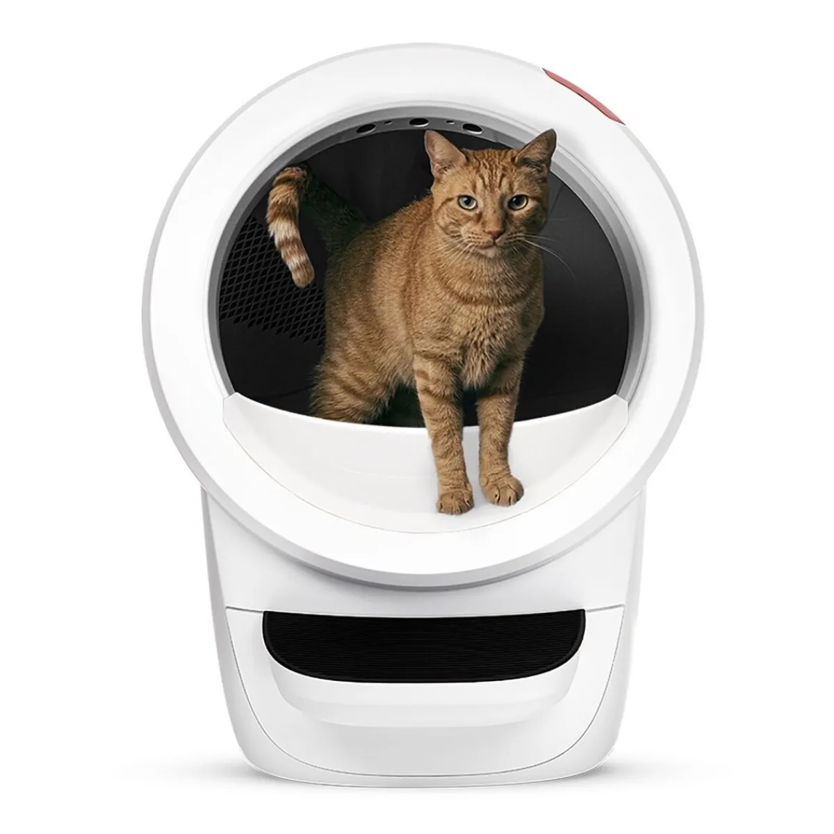 Whisker Automaattiset Kissanvessat|Lemmikkiteknologia*Litter-Robot 4, valkoinen