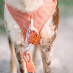 Woolly Wolf Koiran Valjaat*Roam valjaat, Salmon Pink Ripple