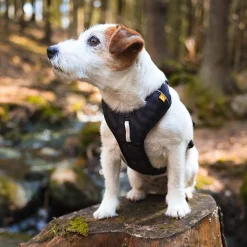 Woolly Wolf Koiran Valjaat*Roam y-valjas, Black Ripple